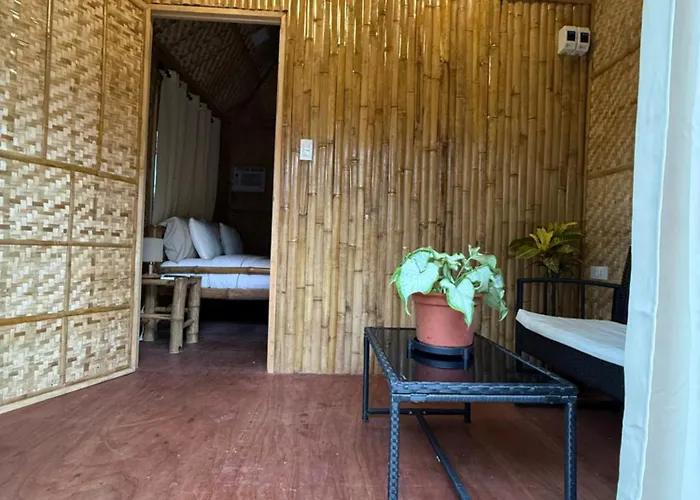 The Bamboo 2