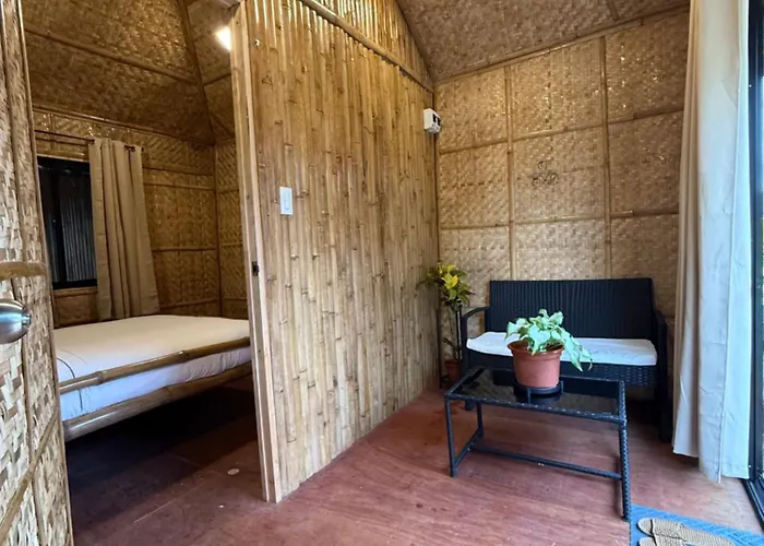 The Bamboo 2